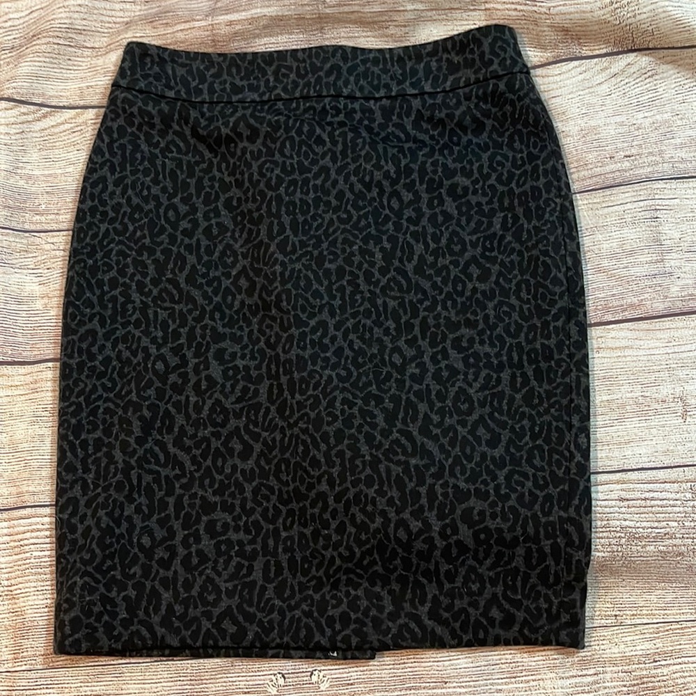 Ann Taylor LOFT Skirt